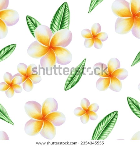 Watercolor seamless pattern with realistic tropical illustration of plumeria flowers with leaves isolated on white background. Beautiful botanical hand painted frangipani clip art. For designers, spa