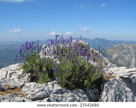 Mountain of robion, park of the verdon, in the Alps of high Provence, France Royalty-Free Stock Photo #23543686