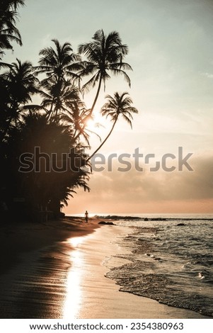 Sunrise with palm trees and silhouette of a person on Sri Lanka beach