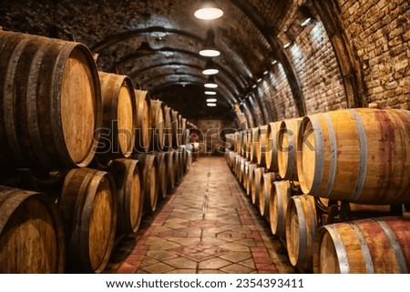 Wine barrels in wine-vaults in order Royalty-Free Stock Photo #2354393411