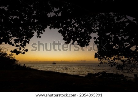 Beautiful landscape photo taken in Cozumel island in Mexico during sunny day.