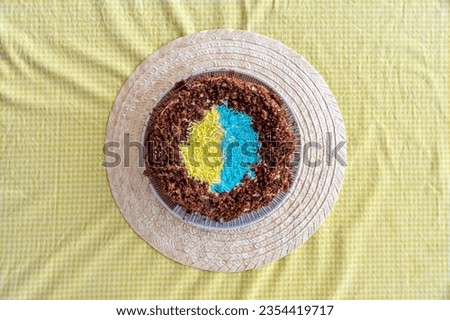 Handmade chocolate cake, decorated with the flag of Ukraine