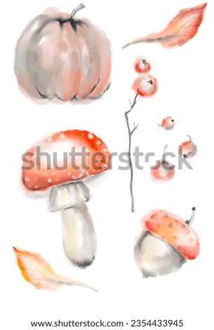 Clip art with pumpkin, leaf, berries, oak, mushroom. Watercolor fall autumn forest element for decoration give thanks cards. 