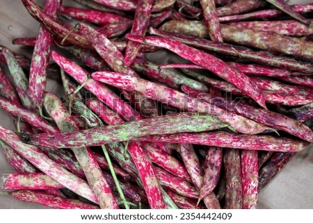 Heap of Cranberry bean aka borlotti bean, top view