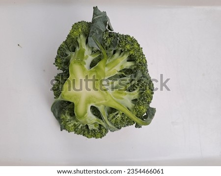Green Broccoli Photo Isolated White Background From Below. Stars Stem