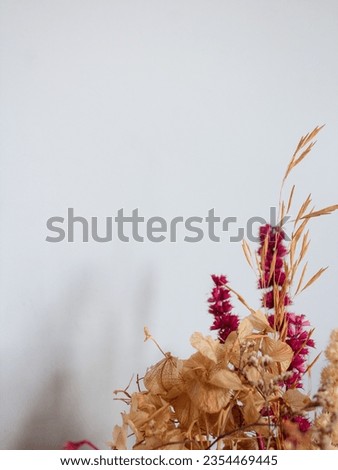  Frame of dried flowers on gray background. Autumn, fall mockup. Image copy space. 