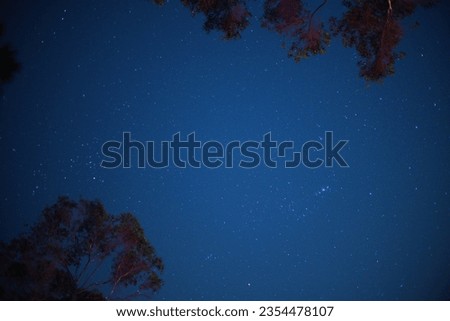 night sky photos, star astronomy in the sky, billions of stars scattered