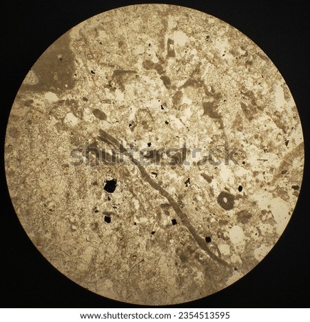 Sedimentary rock on thin sections under a microscope and displays some of the fossils on the thin sections it's like worm fossil Royalty-Free Stock Photo #2354513595
