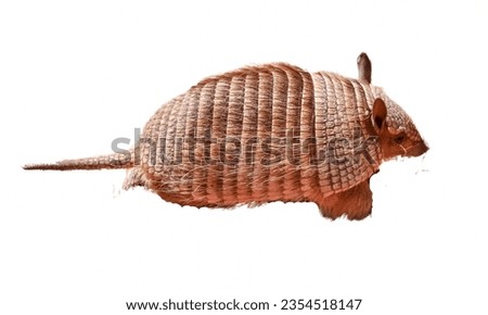 Armadillo: In some areas, armadillo meat is consumed, often used in traditional dishes.