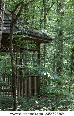 wooden gazebo in the forest 
