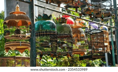 Traditional bird market portrait. Birds in cages on display on the street.