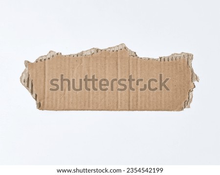 Image of a piece of ripped paper against white background.