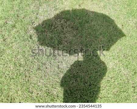 Shadowed on the grass was a round, chubby woman holding a large umbrella.