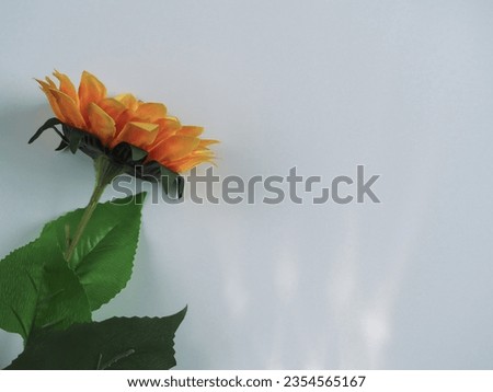 Fake sunflowers with white reflections for a minimalist style background.