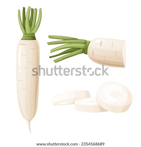 Daikon radish with green stem. Horseradish rhizome plant. Royalty-Free Stock Photo #2354568689