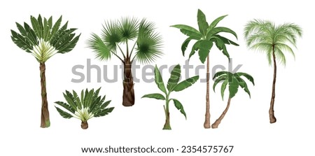 Palm tree set with isolated images of exotic tropical trees of different types on blank background vector illustration