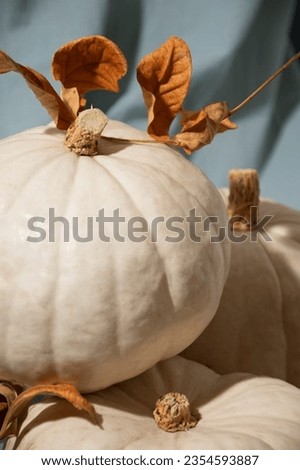 Happy Halloween with spooky an white pumpkin
