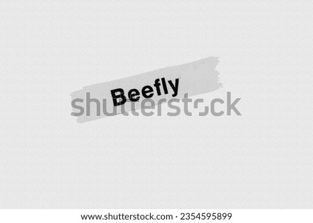 Beefly in English vocabulary language heading and word title and meaning with reference to British wildlife and countryside