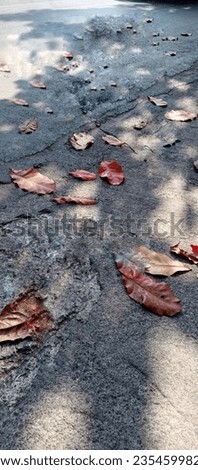 autumn wallpaper for background photography