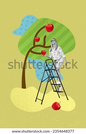 Vertical composite photo collage of satisfied farmer woman standing on ladder hold gather apples in garden isolated colorful background