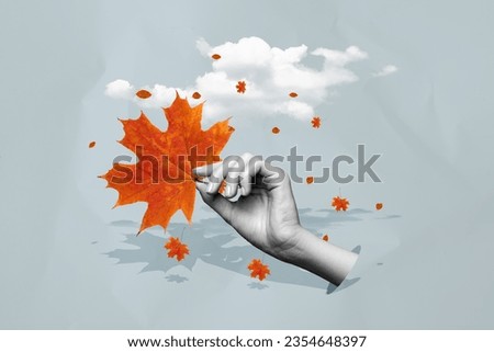 Collage portrait of black white effect arm fingers through hole hold fallen maple leaf clouds sky isolated on paper grey background