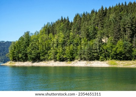 Landscape with a green forest on the shore of a lake