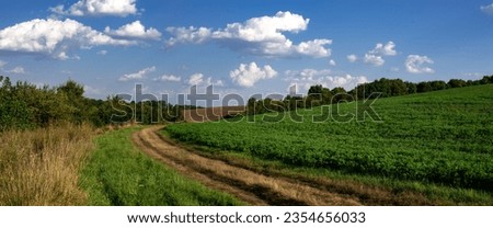 Field road leading to a steep ravine. Bright clouds in the open spaces. Landscape picture in the field.Endless field horizon. 