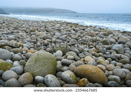 'Dinosaur Eggs' beach with large round boulders. Coast of the Barents sea, the Arctic ocean, the Kola Peninsula, Teriberka, Russia