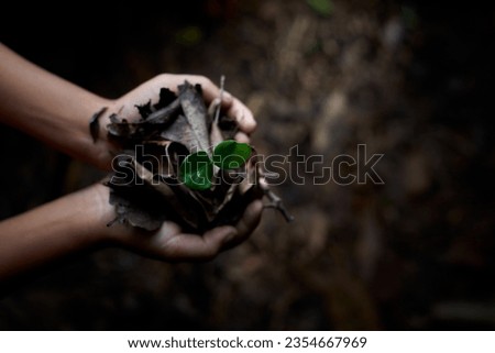 Child's hand holds the shoots of young plants in the forest                               
