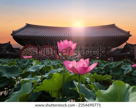 Jogyesa Temple with lotus in Seoul South Korea
