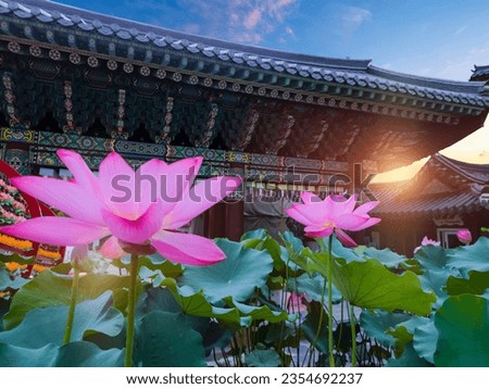 Jogyesa Temple with lotus in Seoul South Korea