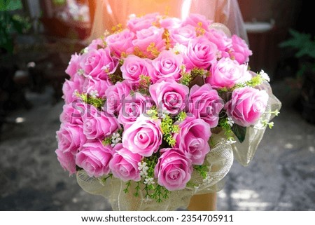 ็็woman to give the Pink bouquet of roses with sunlight background in the basket to the lover or important person on valentine day.