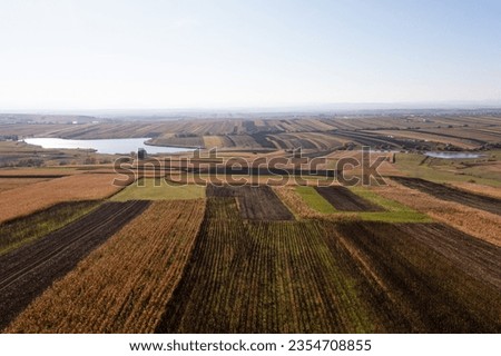 landscape with field in autumn
