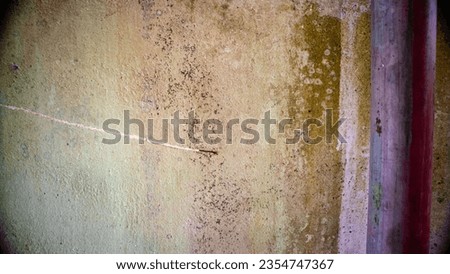 Old dirty walls covered in mold and mildew
