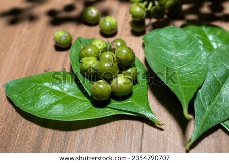Henna ( Lawsonia inermis) leaves, fruit on wooden background, hair dye medicinal herbs