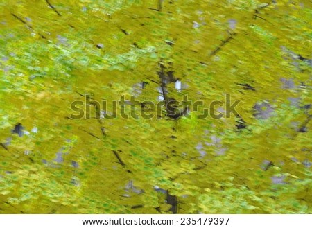 Blurred green leaves