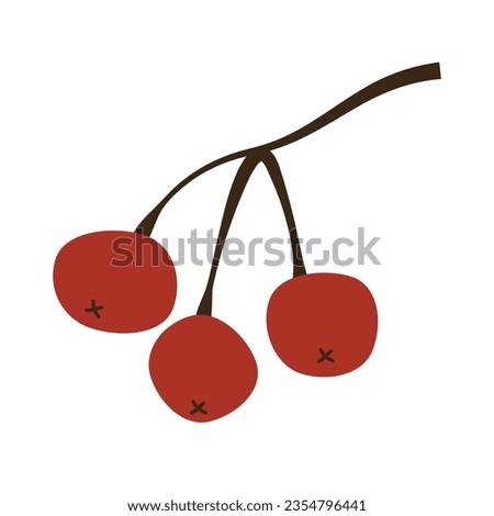 Bunch of red rowan berries isolated on white background. Vector illustration in flat style. Rowan branch without leaves. Royalty-Free Stock Photo #2354796441