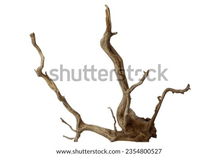 Decorative driftwood for aquascape isolated on white background with clipping path Royalty-Free Stock Photo #2354800527