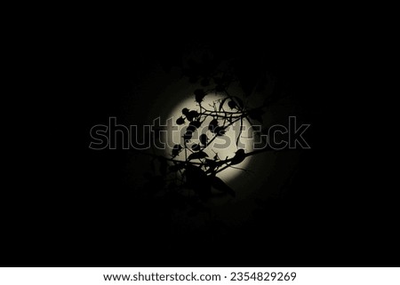 The silhouette of a spooky bare branch halloween tree against a winter blue night sky with a glowing full moon and clouds