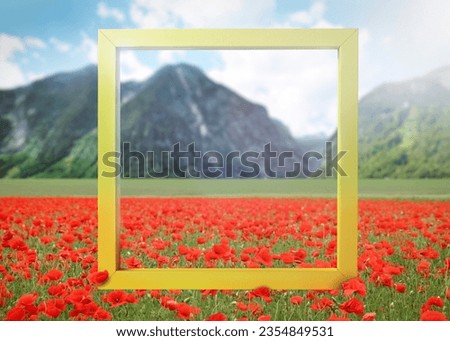 Wooden frame and beautiful poppy meadow near mountains