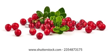 Forest wild berry cowberry with leaves, isolated on white background Royalty-Free Stock Photo #2354873175