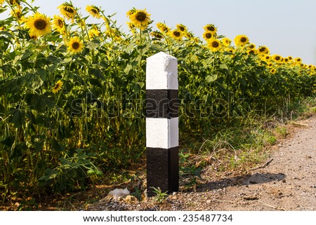 Black and white concrete pillars beside roads with many sunflowers.