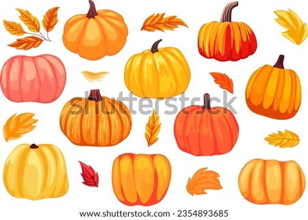 Set of different pumpkins, autumn season, autumn leaves, clip art, cartoon pumpkins for holiday decoration