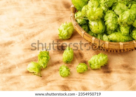 Fresh hops on a monochromatic background