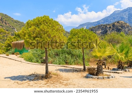 Needles in the mountains. Beautiful nature, landscape. Background with copy space