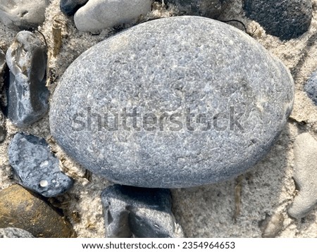 Close up photo of stone on the beach at Nyord Island, Denmark