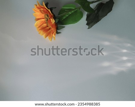 Fake sunflowers with white reflections for a minimalist style background.
