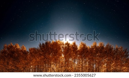 Landscape scene of the moon shining behind a grove of aspen trees at night during the Fall when the leaves are changing. The night sky is full of stars.  Royalty-Free Stock Photo #2355005627
