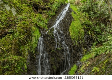 waterfall in green nature background on summer 