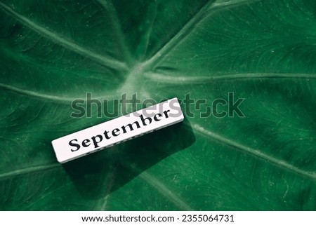 close up september wooden text block on green leaves, planning and manage to success business wallpaper background concept